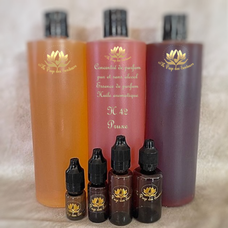 Concentré de parfum essence de parfum sans alcool conseillé en senteur notes masculines Pruxe H42