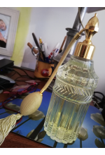 Photo from customer for Poires vaporisateurs de parfum de rechange + atomiseur de parfum